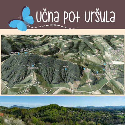 Na pohodniško doživetje vabi Učna pot Uršula pri Dramljah.