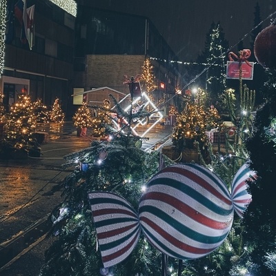 Čez noč je na Mestnem trgu v Šentjurju zrasel Božičkov gozd.