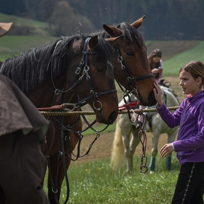 Vabljeni ljubitelji konjev na tradicionalno žegnanje konj.