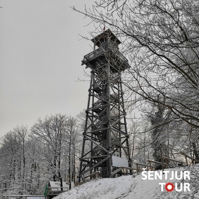 The outlook Tower of Love is the tallest tower made of wood.