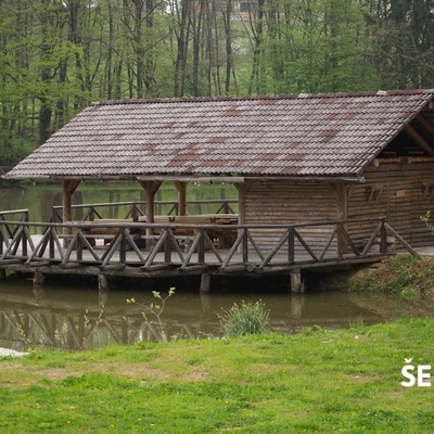 Along the forest path from Hotunje towards Zagaj near Ponikva lie the hidden Masten ponds.