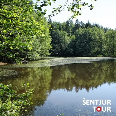 If you take the trail from Hotunje, you will discover Kumperger ponds along the way.