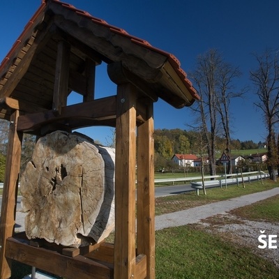 At the railway crossing begins a chestnut tree avenue, which once led to the Ponikva manor.