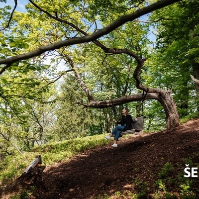 In the forest near the lodge, you can enjoy on a swing.