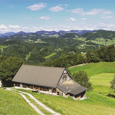 Kmetija Gorišek je v idilični vasici Paridol na Kozjanskem.