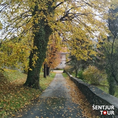 Drevored, ki od gradu Planina vodi do vile, ki jo je zgradil zadnji planinski graščak grof Bloome.