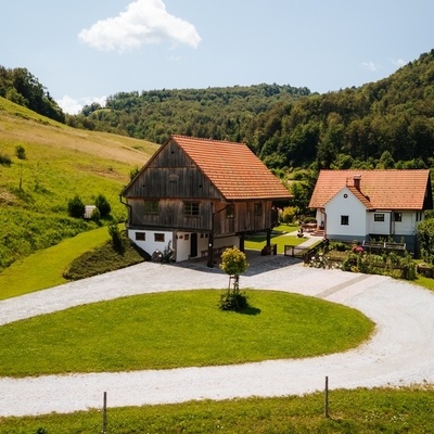 Atelje Mlin umetnin deluje na obnovljeni domačiji z 200 let starim mlinom na vodni pogon.