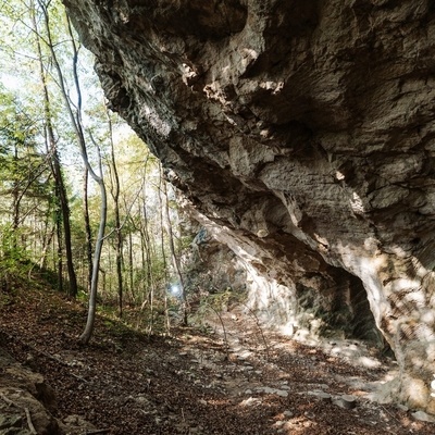 Ob zahodnem vznožju hriba Rifnik očarajo jame mlinskih kamnov.