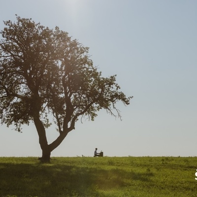 Na obronkih Kozjanskega vas čaka posebno doživetje, ki povezuje naravo, ustvarjalnost in dediščino.