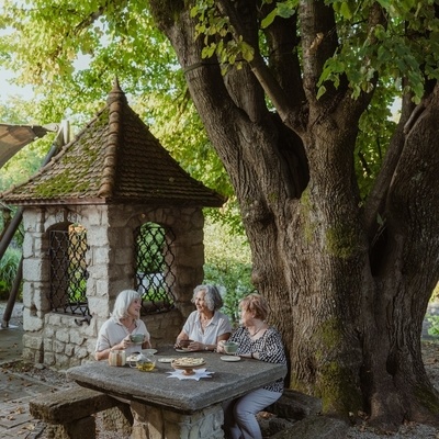 Uživanje v čaju pod mogočno Ipavčevo lipo v Zgornjem trgu v Šentjurju.