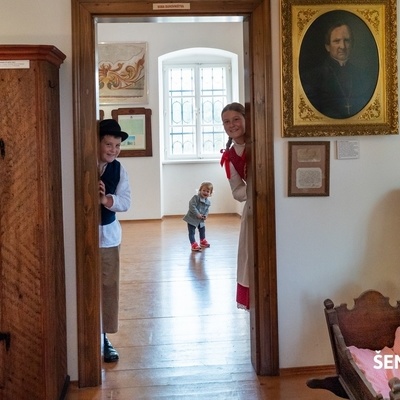 Rojstna hiša Antona Martina Slomška z razstavo o življenju in delu duhovnika, pisatelja, pesnika, narodnega buditelja...