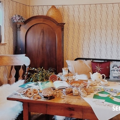 Na Rodovnem ekološkem posestvu Rečnik - LUDUS NATURAE ponujajo tudi ogled sonaravnega čebelarjenja in nudijo apiterapijo.